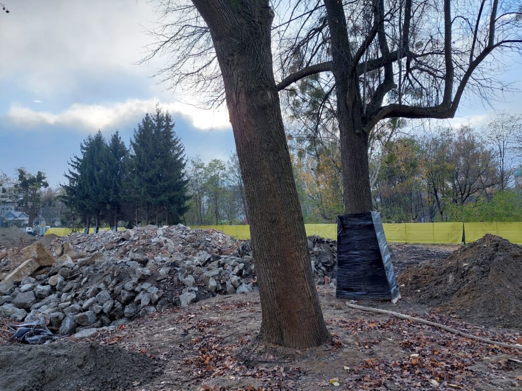 Widok na drzewa na skraju placu budowy