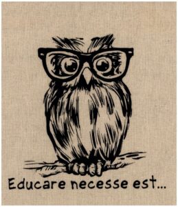 przedstawia sowe symbol educare